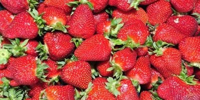 Strawberries